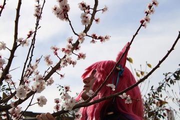 Ahri spirit blossom preview 2