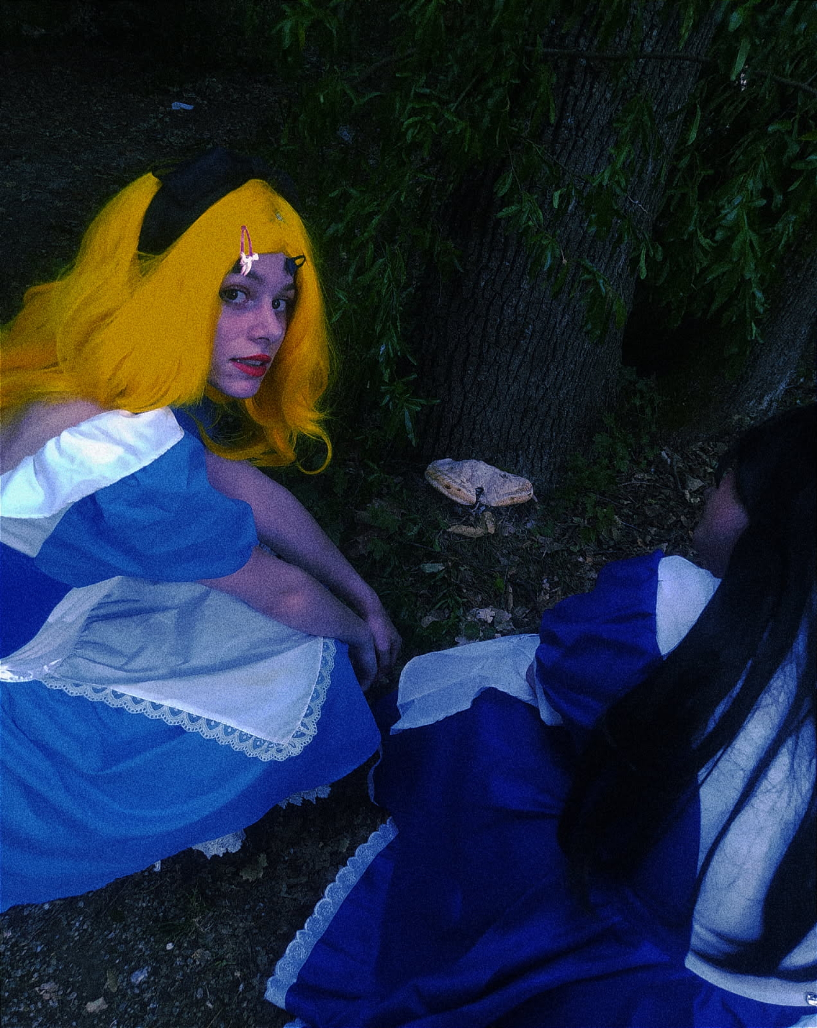 American mcgee alice — photo 10