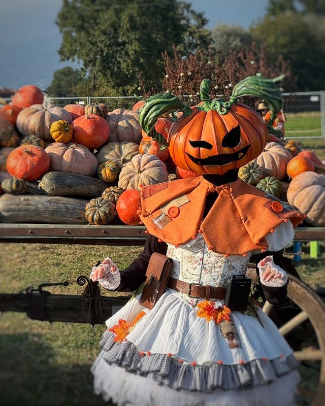 Mother_of_gatti, Lady Pumpkin 