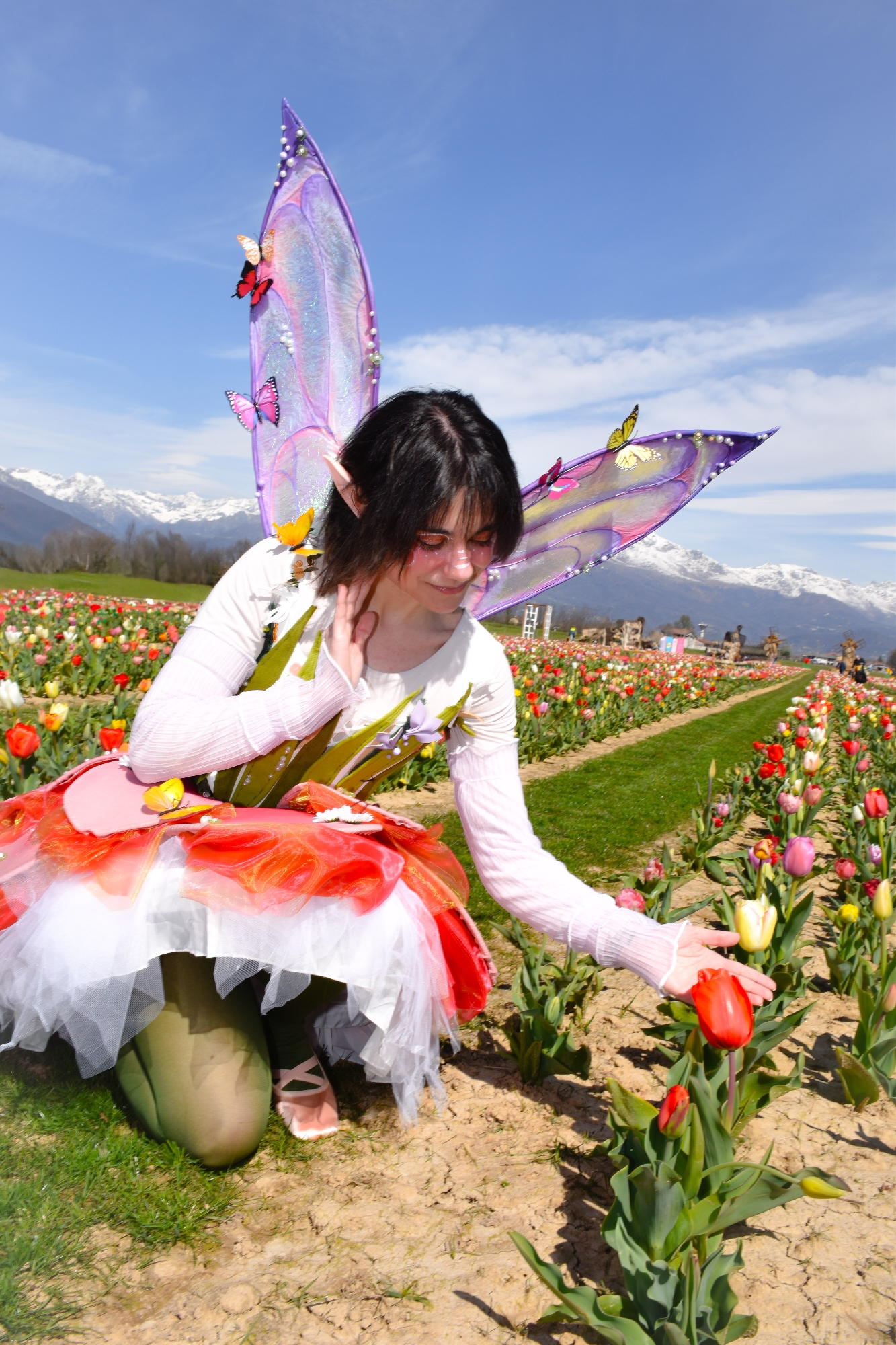 Lale the FairyTulip — photo 11