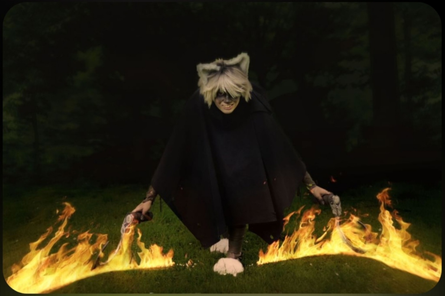 Le loup — photo 7
