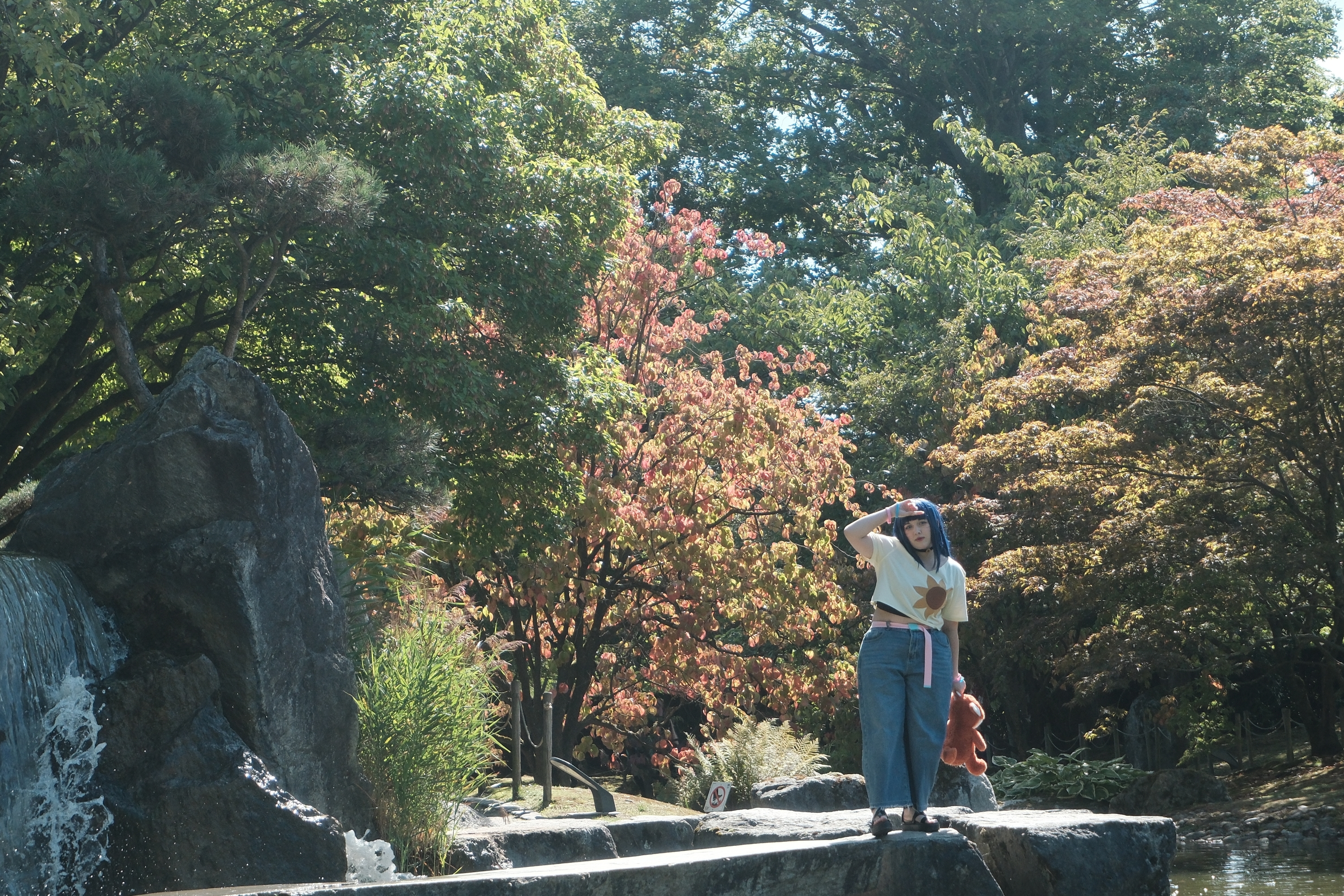 Himawari  - Photo 18