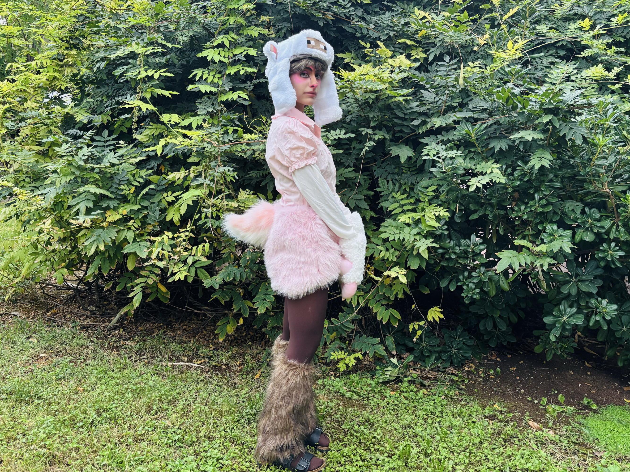 pink sheep — photo 7