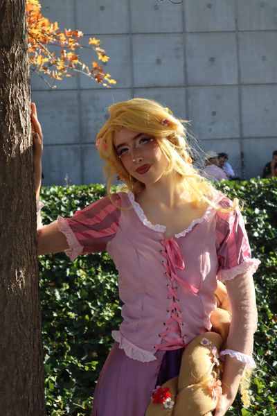_s1lent_ech0splay, Rapunzel PM 2026