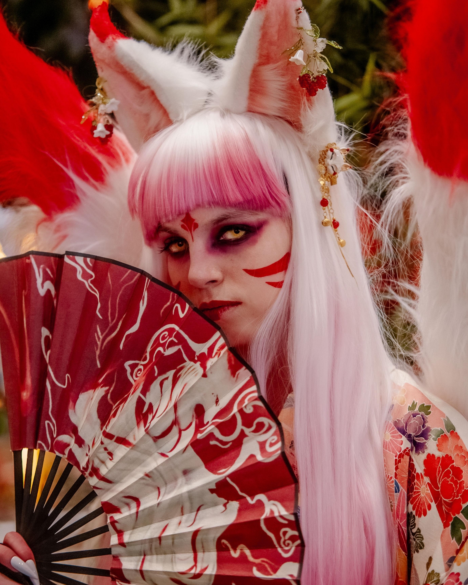 Kitsune - Photo 1