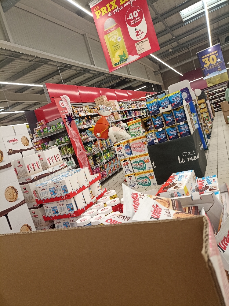 Magicarpe Zombie  - Photo 17