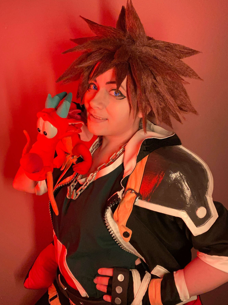 Sora KH2 — photo 24