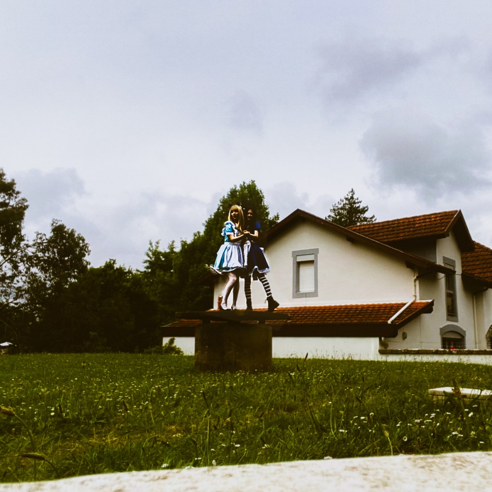 Alice — photo 6
