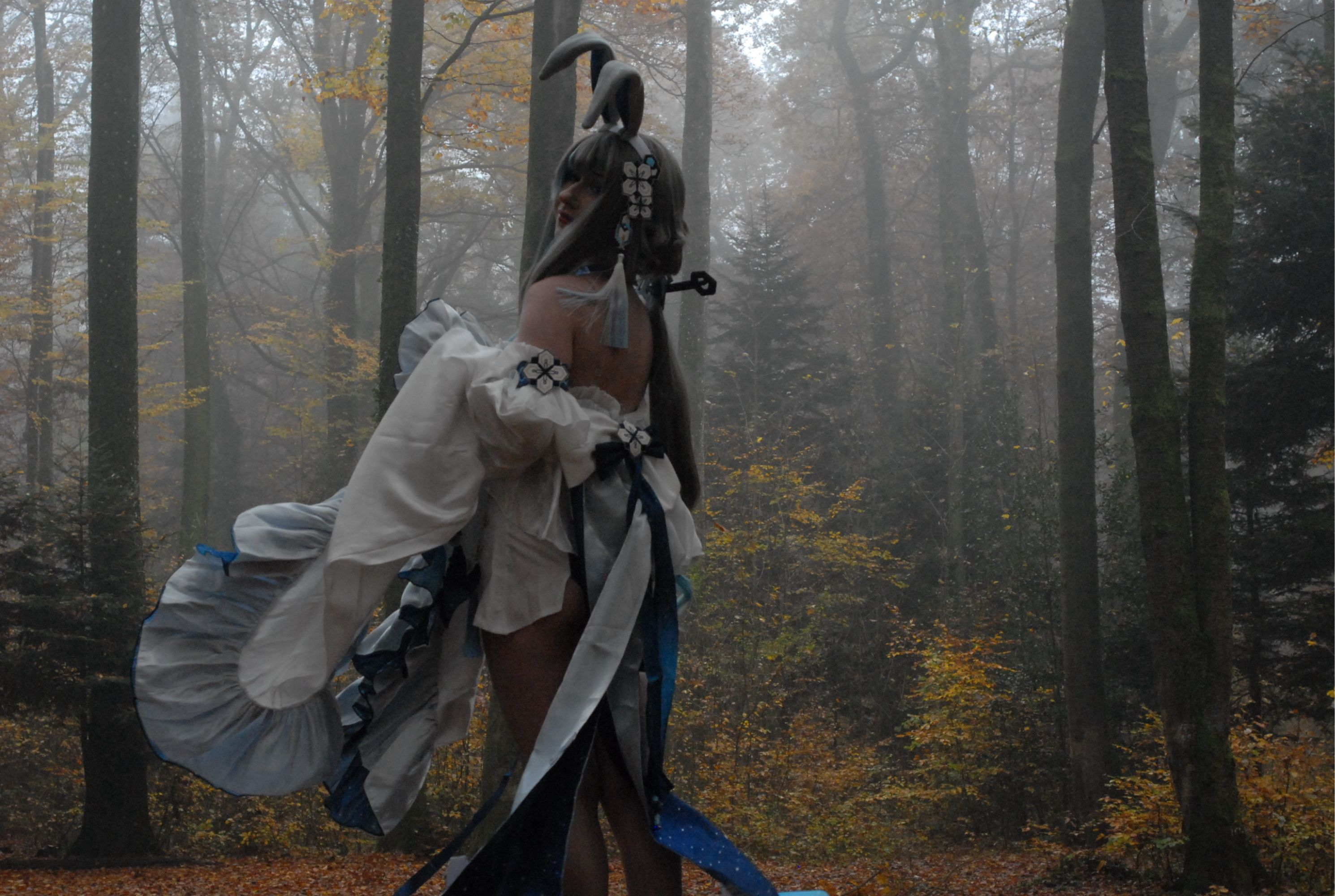 Guizhong Bunny - Photo 1