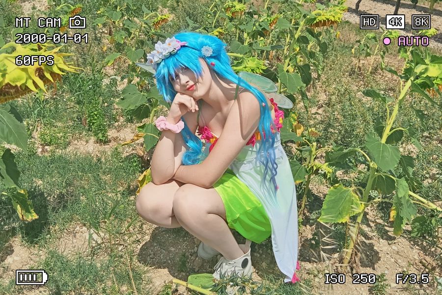 Mxikulixx - Miku Fairy