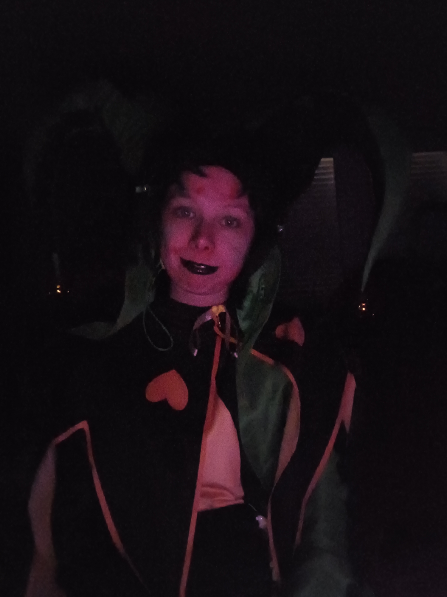Harlequin, photo 10