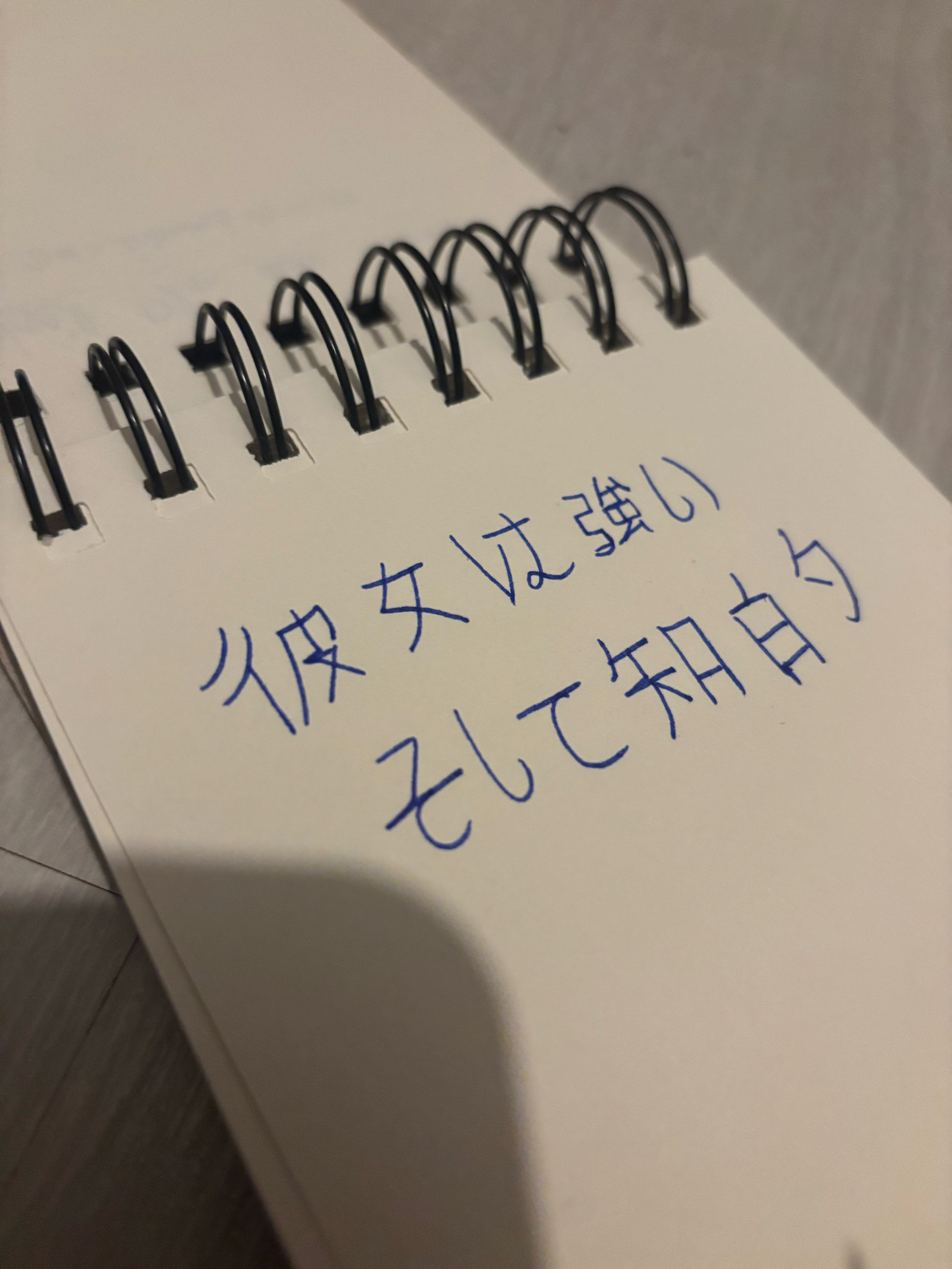 Akane (carnet), photo 7