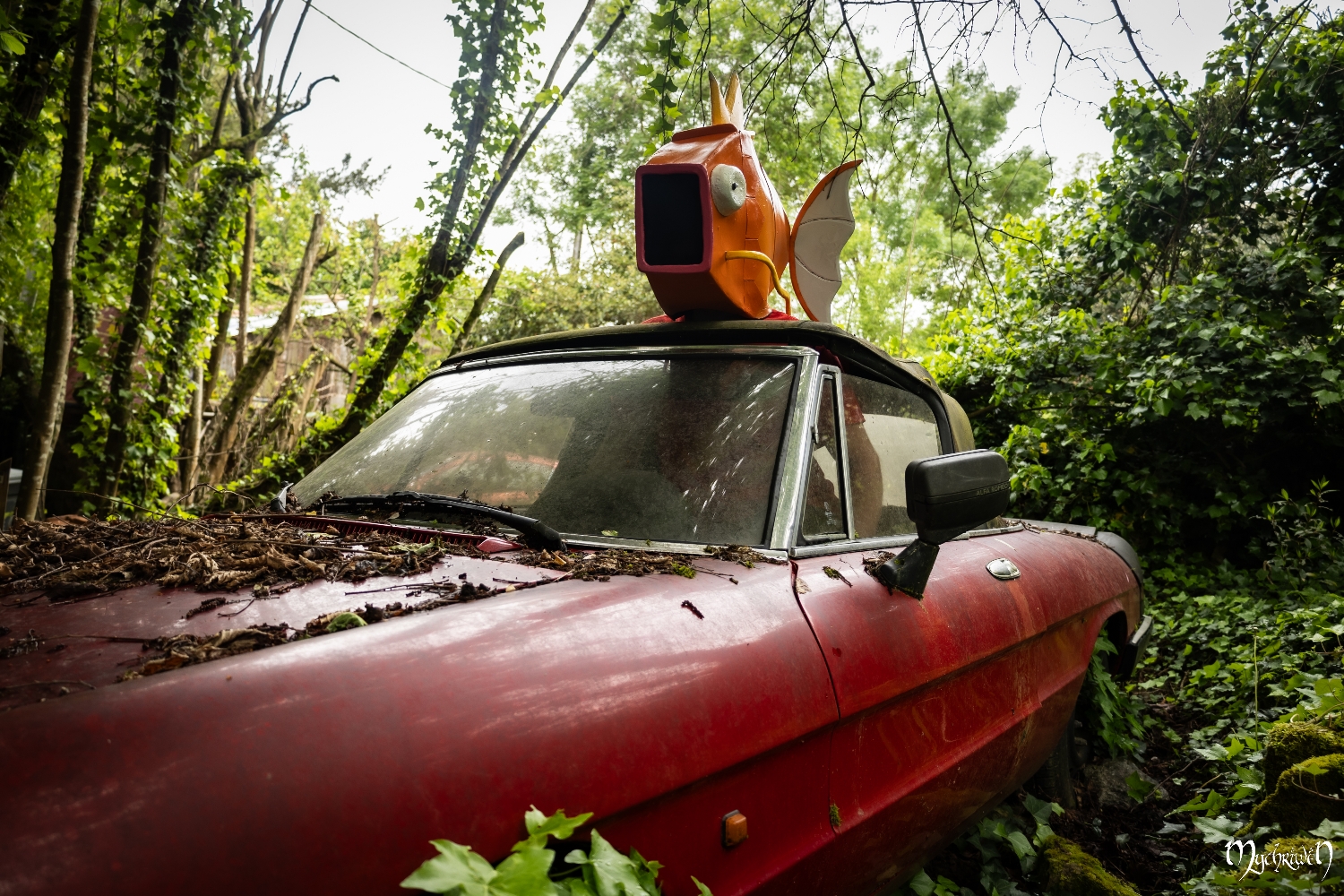 En voiture magicarpe - Photo 3