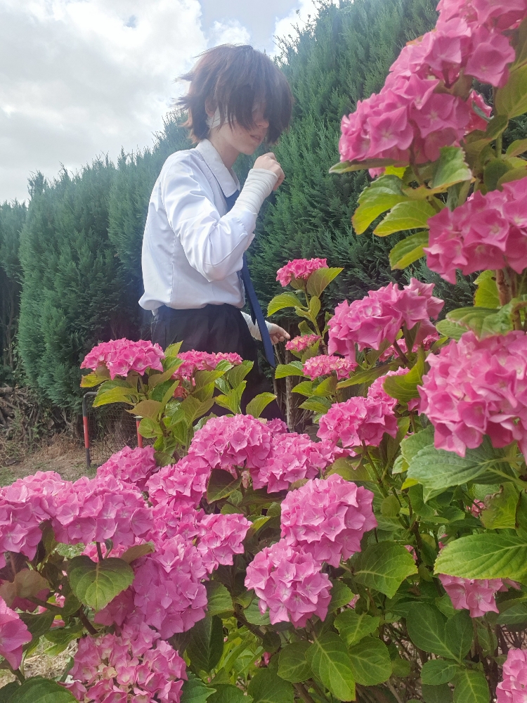 Dazai — photo 16