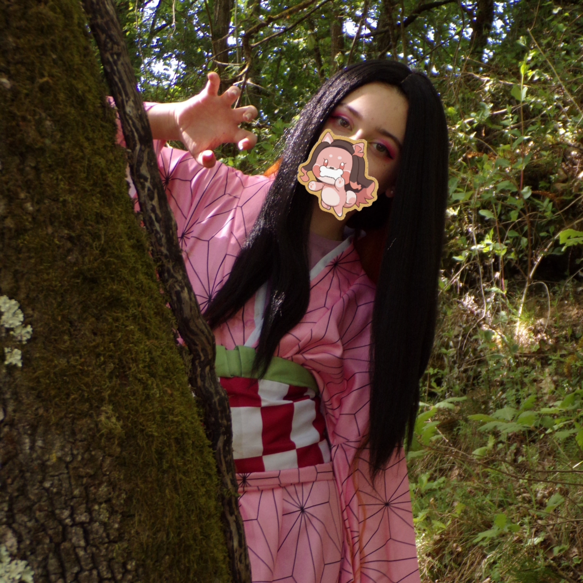 Nezuko — photo 5