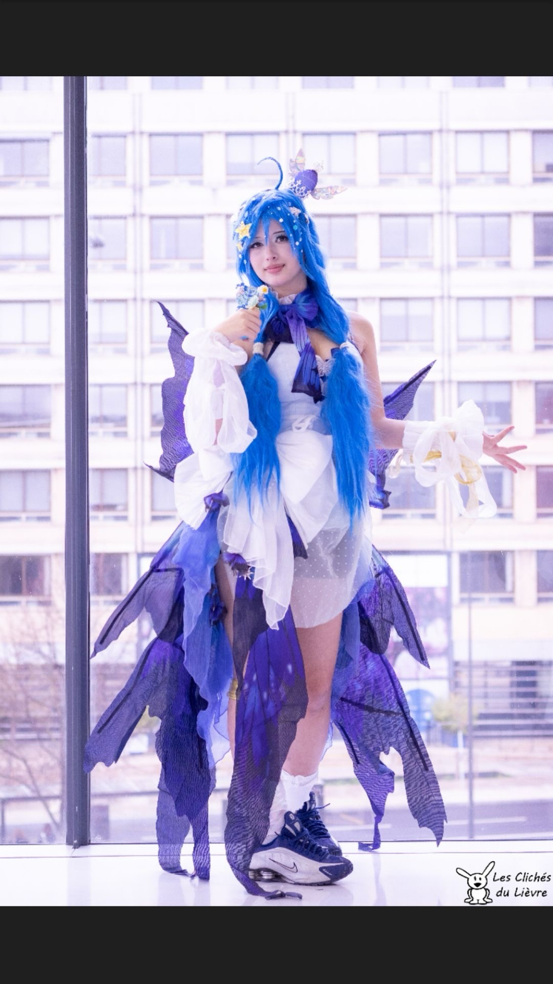 Miku butterfly - Photo 7