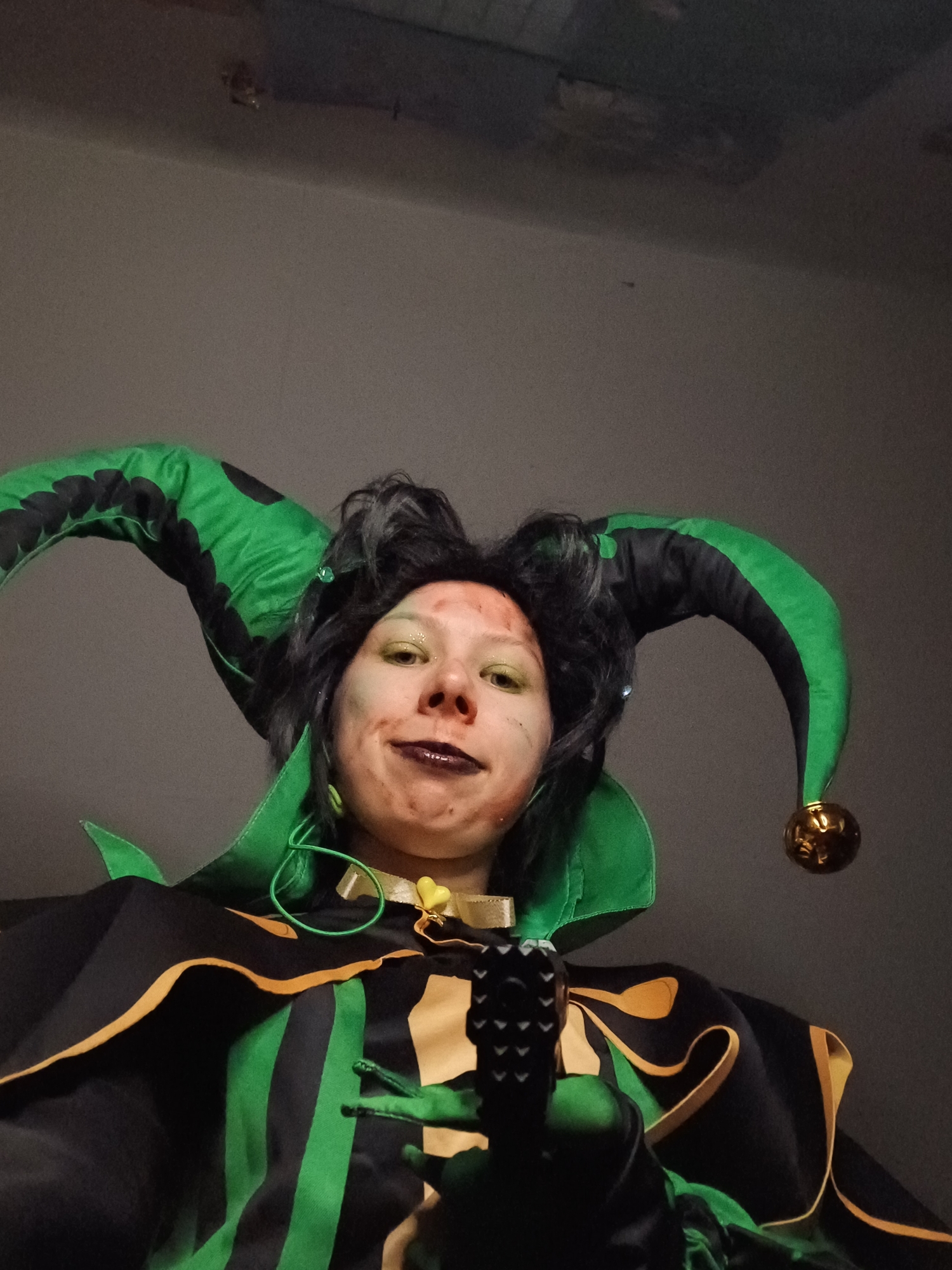 Harlequin, photo 20