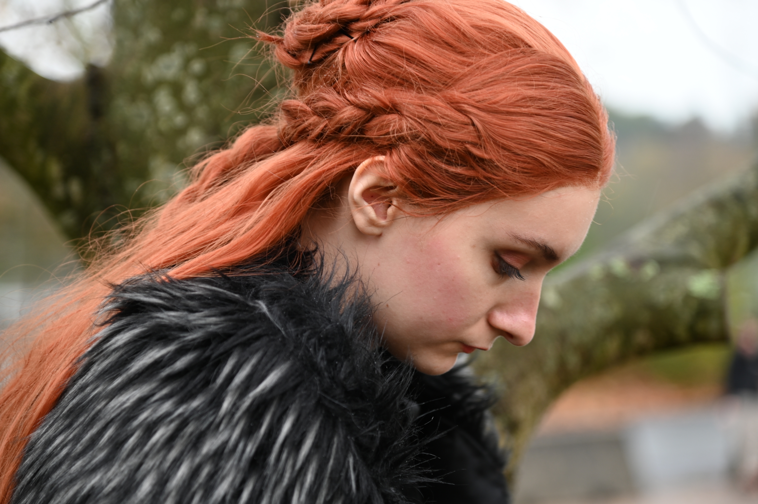 Sansa Stark — photo 6