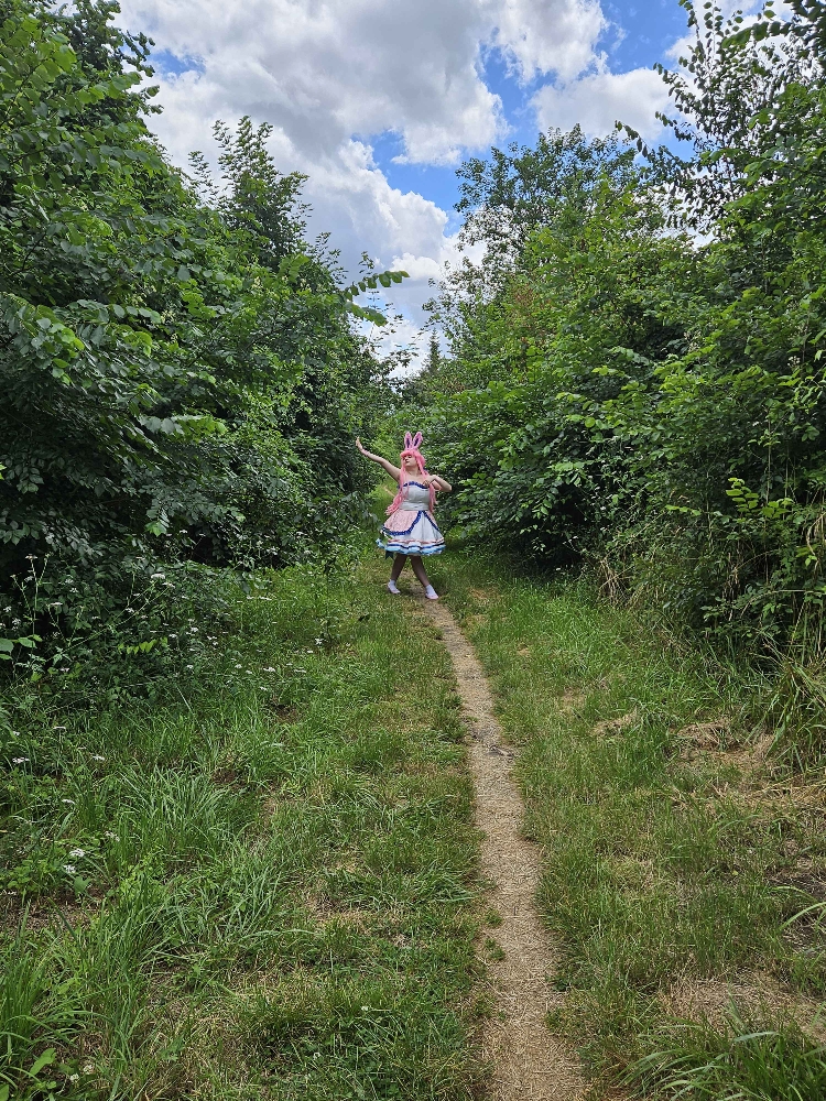 Nymphali forêt  - Photo 4