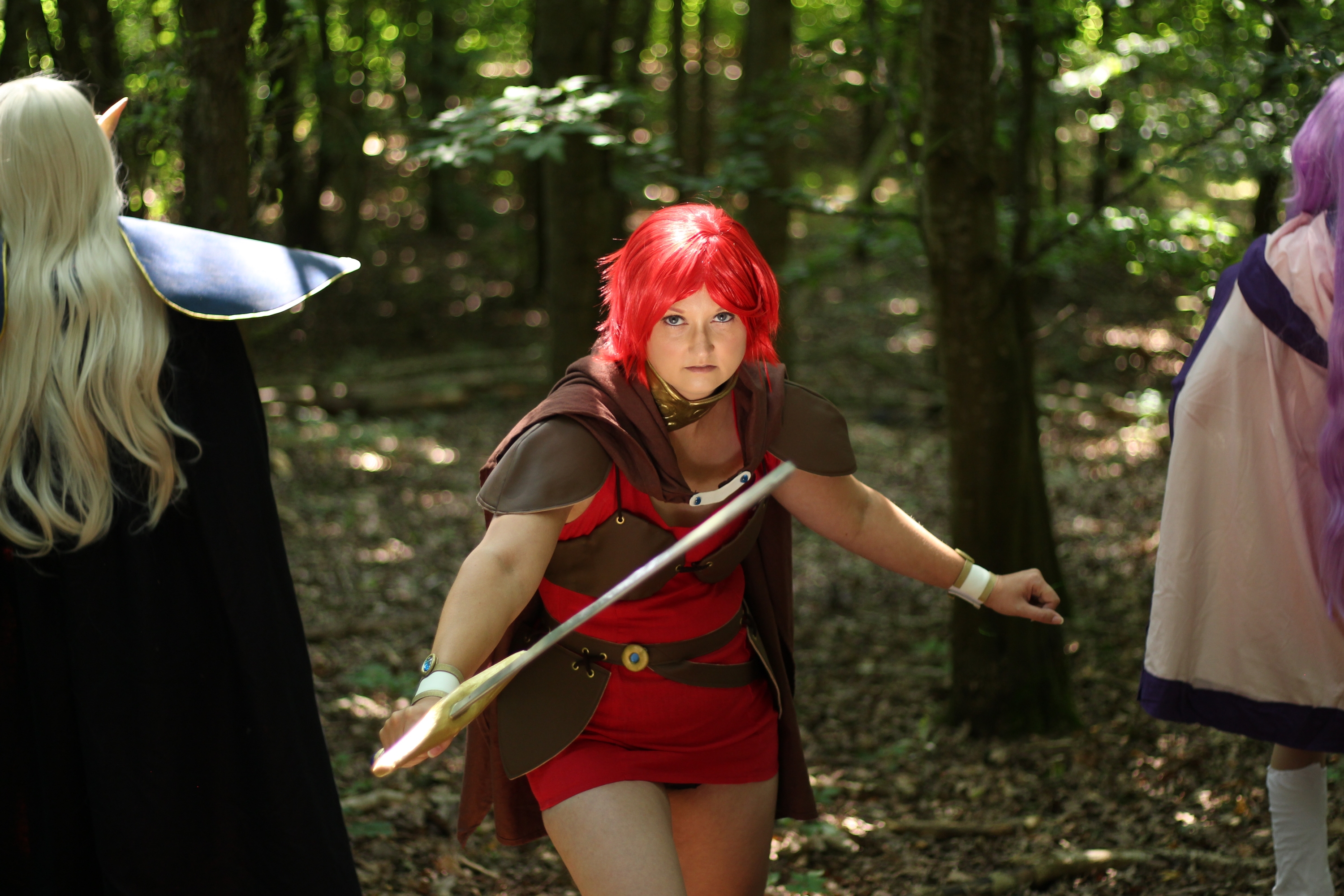 Record of Lodoss War — photo 19