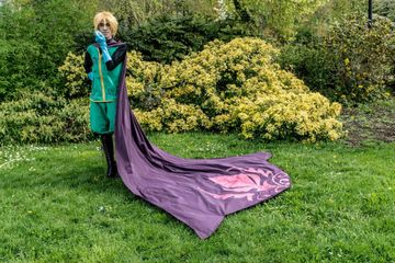 Elsa preview 2