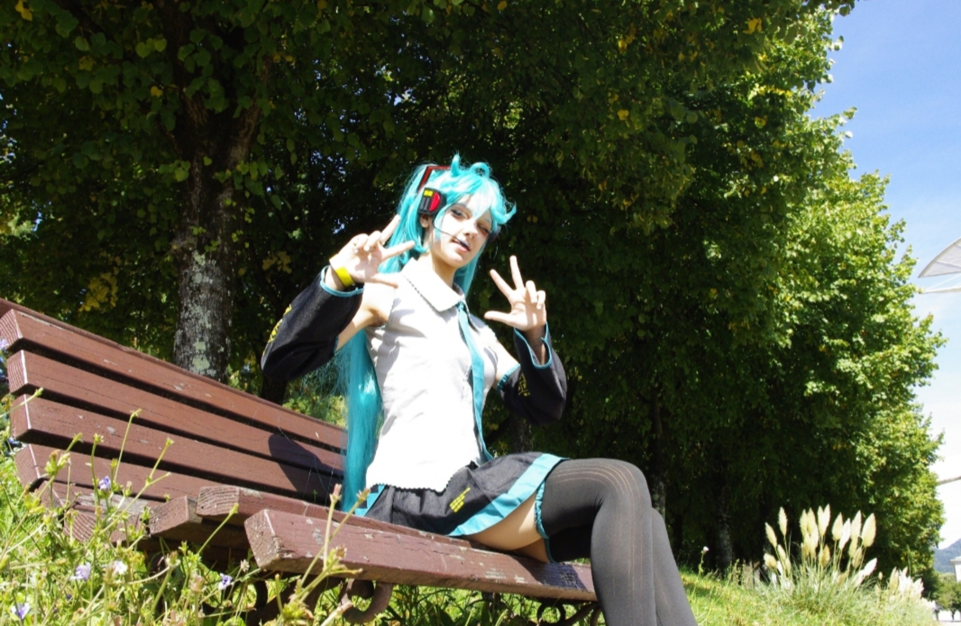 Miku — photo 14