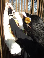 Rin preview 3