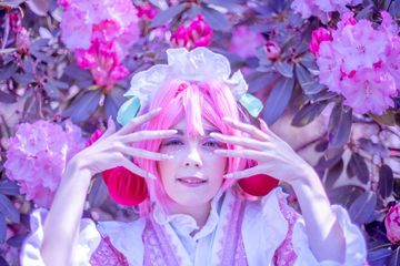 Sakura Miku -Hanami- preview 3