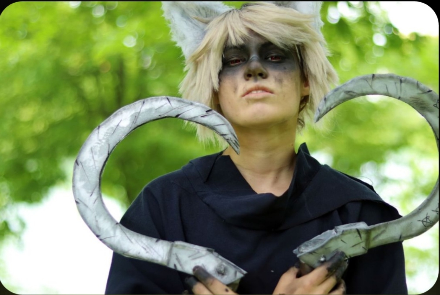 Le loup — photo 10