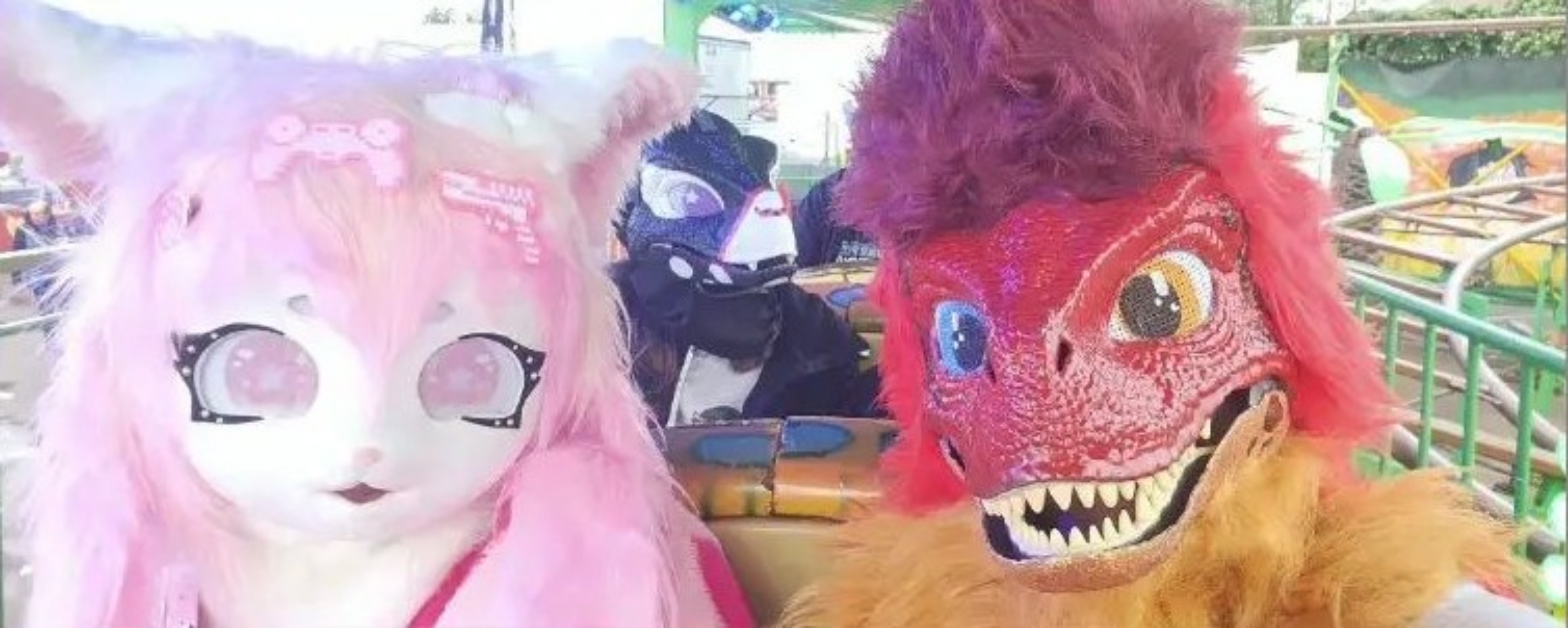 Conv/furmeet  - Photo 12