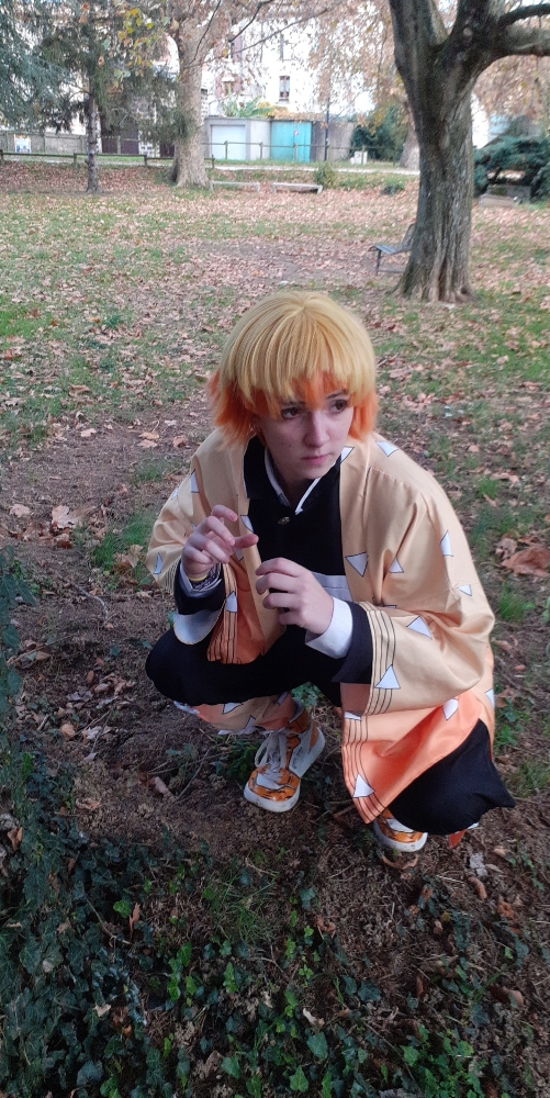 Zenitsu Agatsuma  - Photo 14