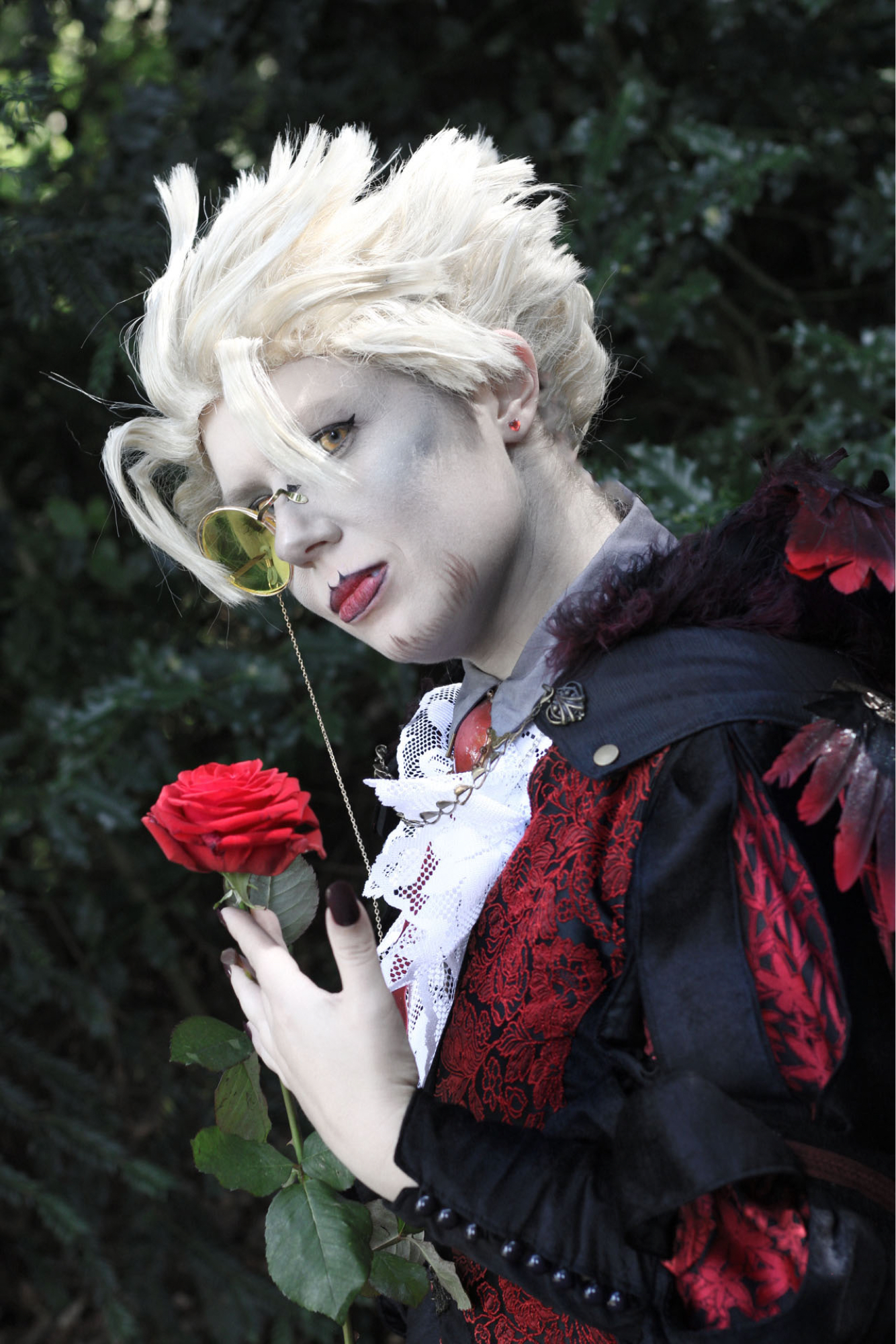 Vampire Hawks, photo 6