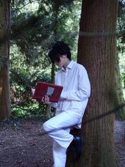Ray preview 2