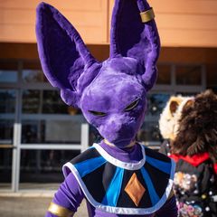 Beerus preview 3