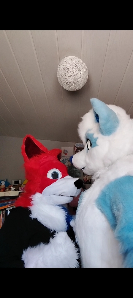 Titan et Rød Ulva - Photo 4