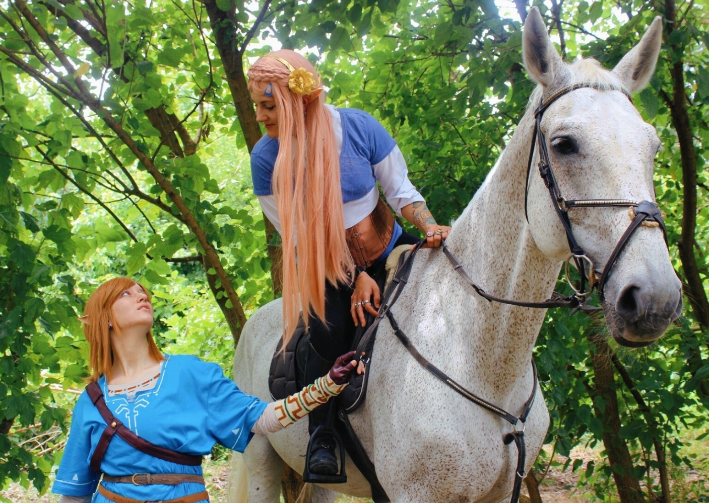 Link (Botw) - Photo 25