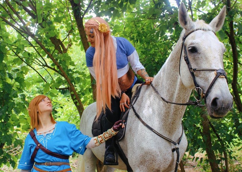 Lhyliart - Link (Botw)