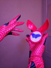 Ladybug preview 2