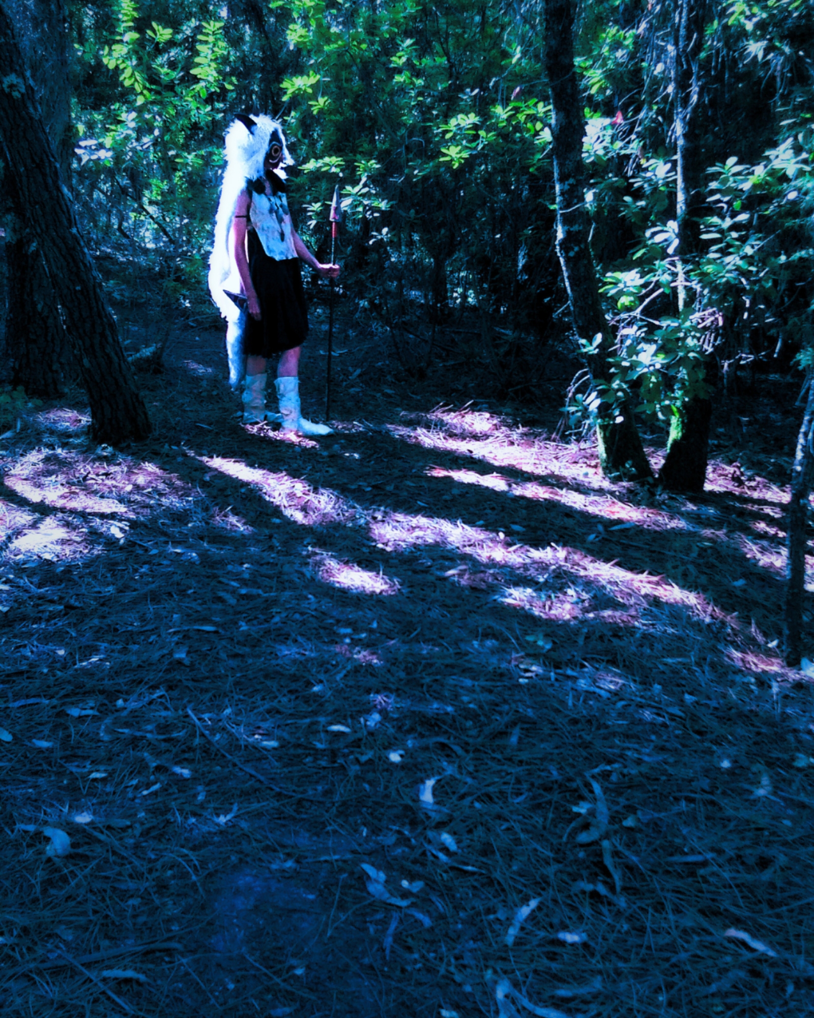Princess Mononoke — photo 12