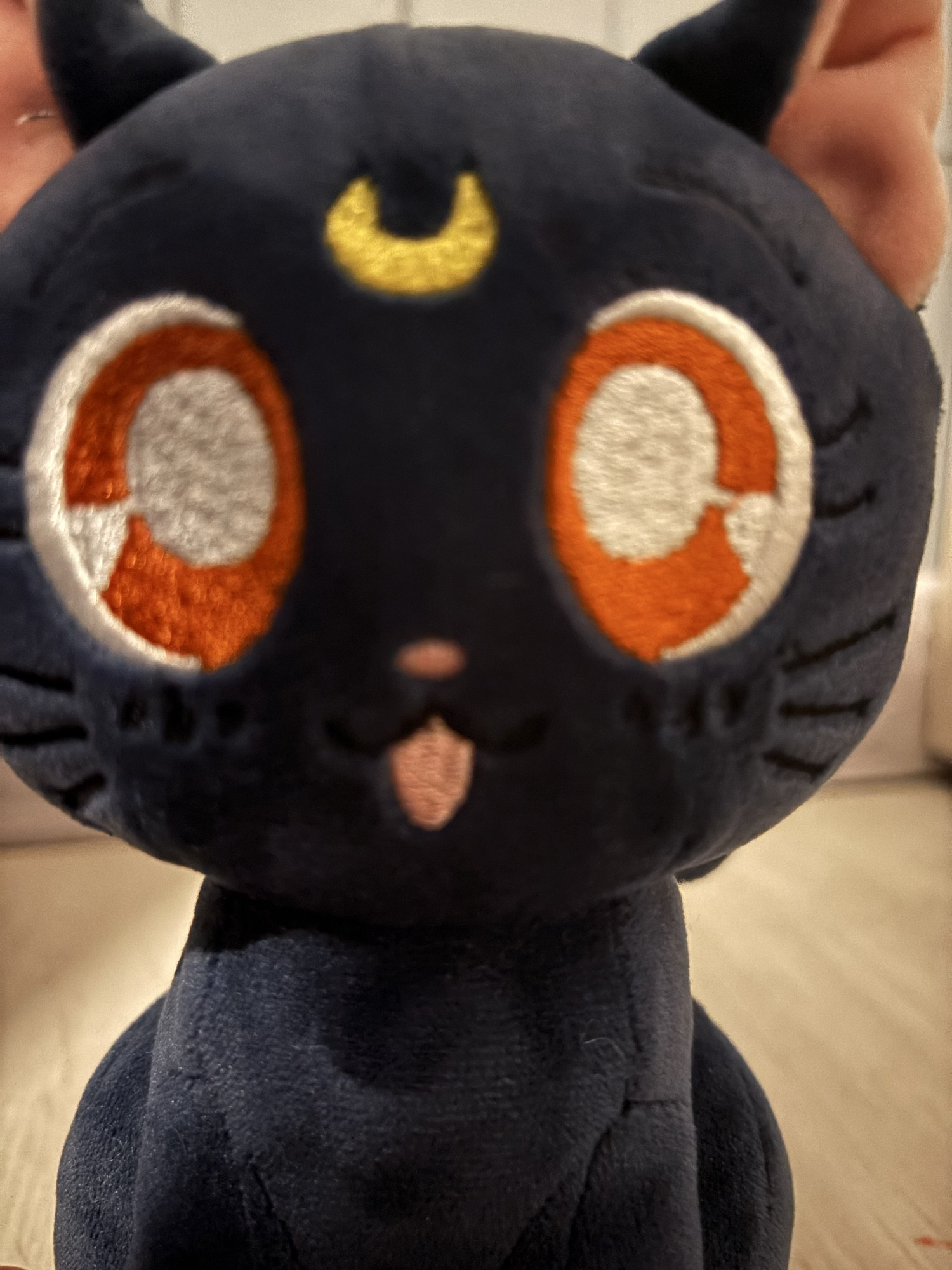 Chat (Sailor moon), photo 8