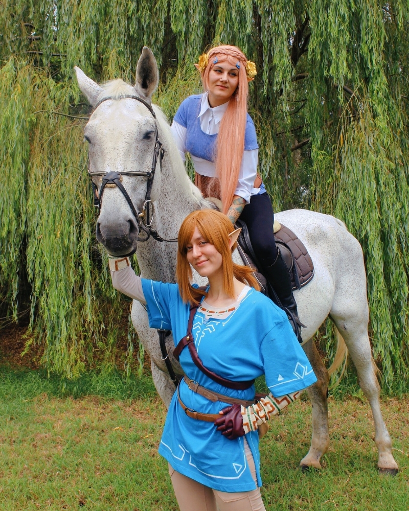 Link (Botw) — photo 25