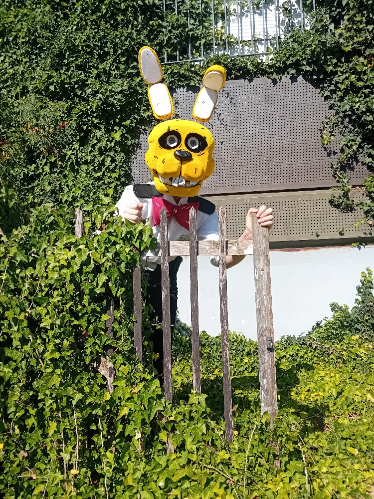 Dave Miller - Photo 4