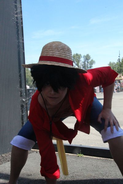 Mayouhou_cos - Luffy