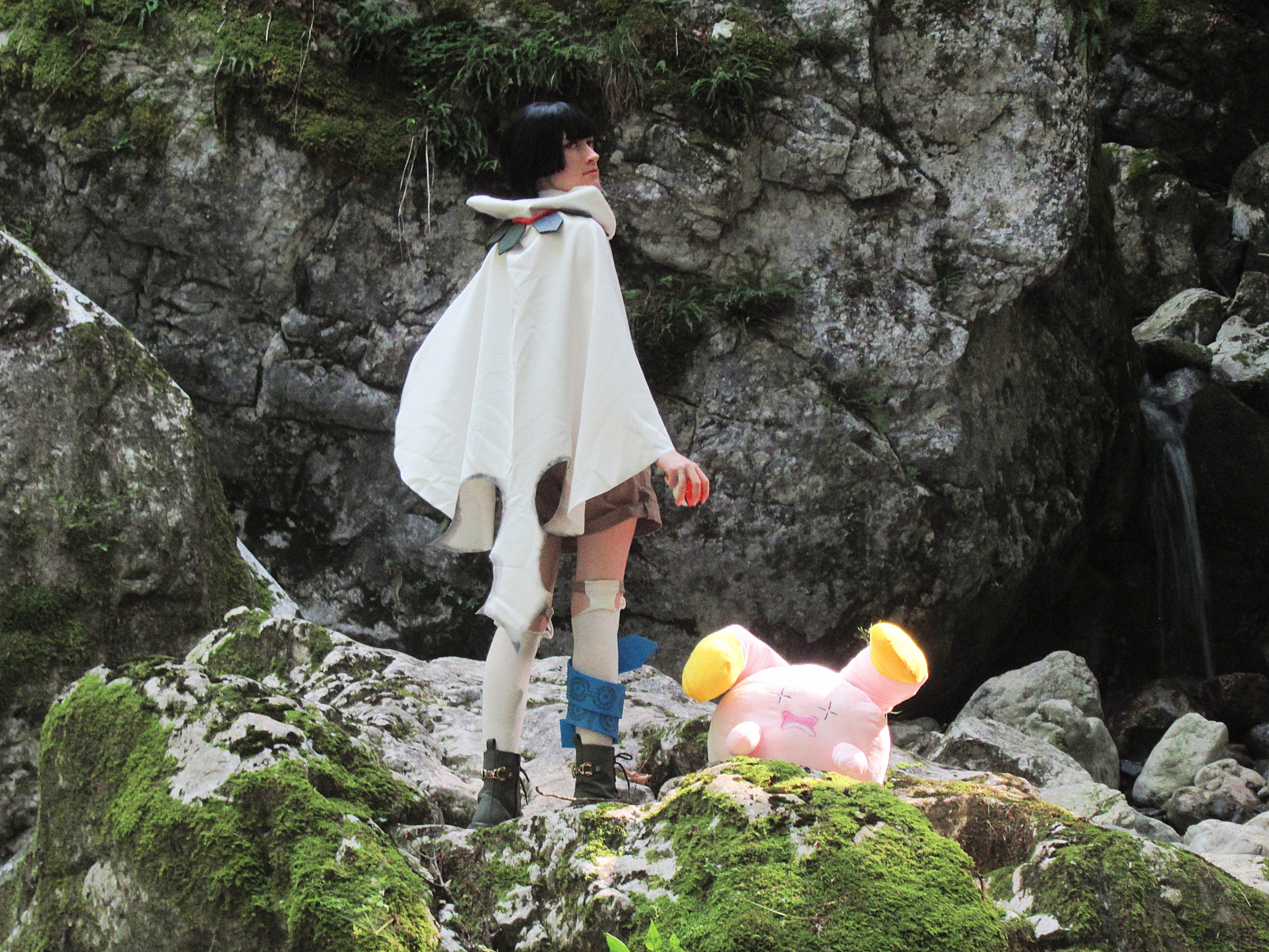 Amaryllis P1 — photo 10