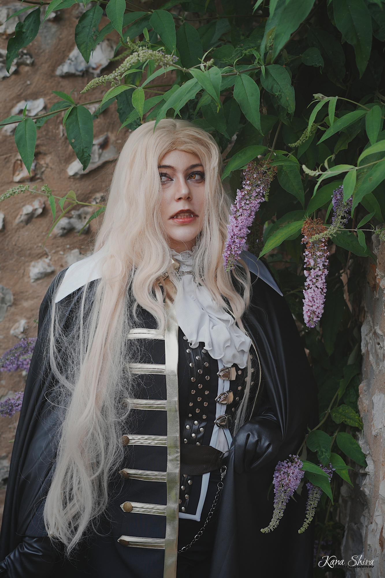 Alucard ! - Photo 13