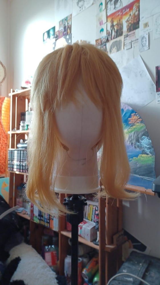 Link — photo 8