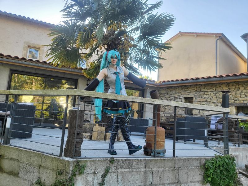 Mae__cosplay - Miku
