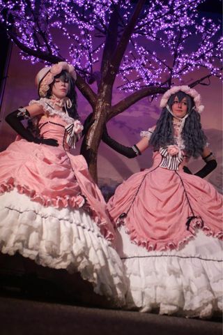 2 Lady fleuries