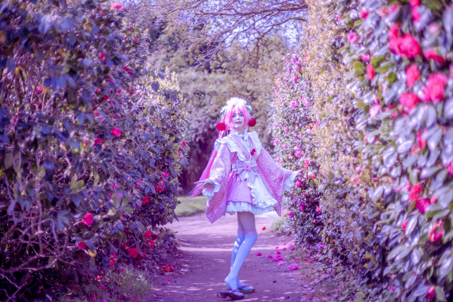 Sakura Miku -Hanami- - Photo 7