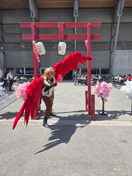 Marie_co - Hawks 